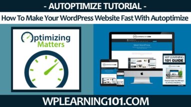 How To Make Your WordPress Website Fast With Autoptimize WordPress Plugin (Step By Step Tutorial)