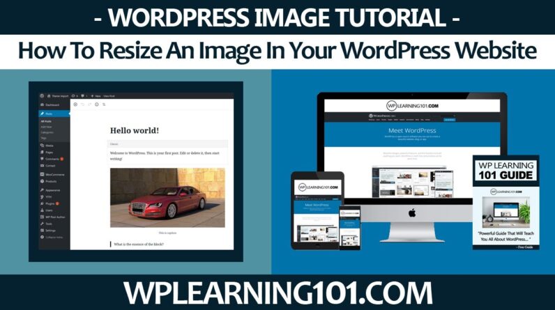 How To Resize An Image In Your WordPress Website (Step By Step Tutorial)