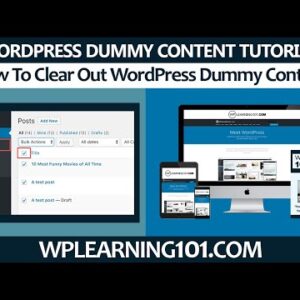 Clearing Out WordPress Dummy Content (Step By Step Tutorial For Beginners)