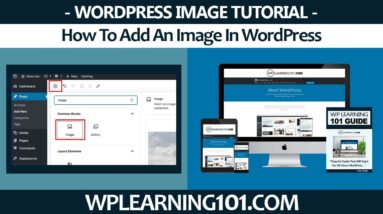 How To Add An Image In WordPress For Beginners 2022 (Step By Step)