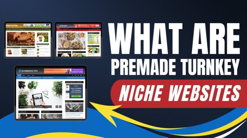 What Are Premade Turnkey Niche Websites