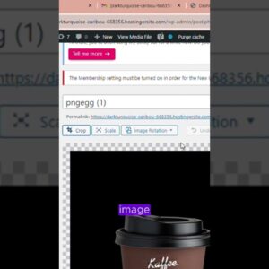 using alt tags in WordPress #shorts #wordpress